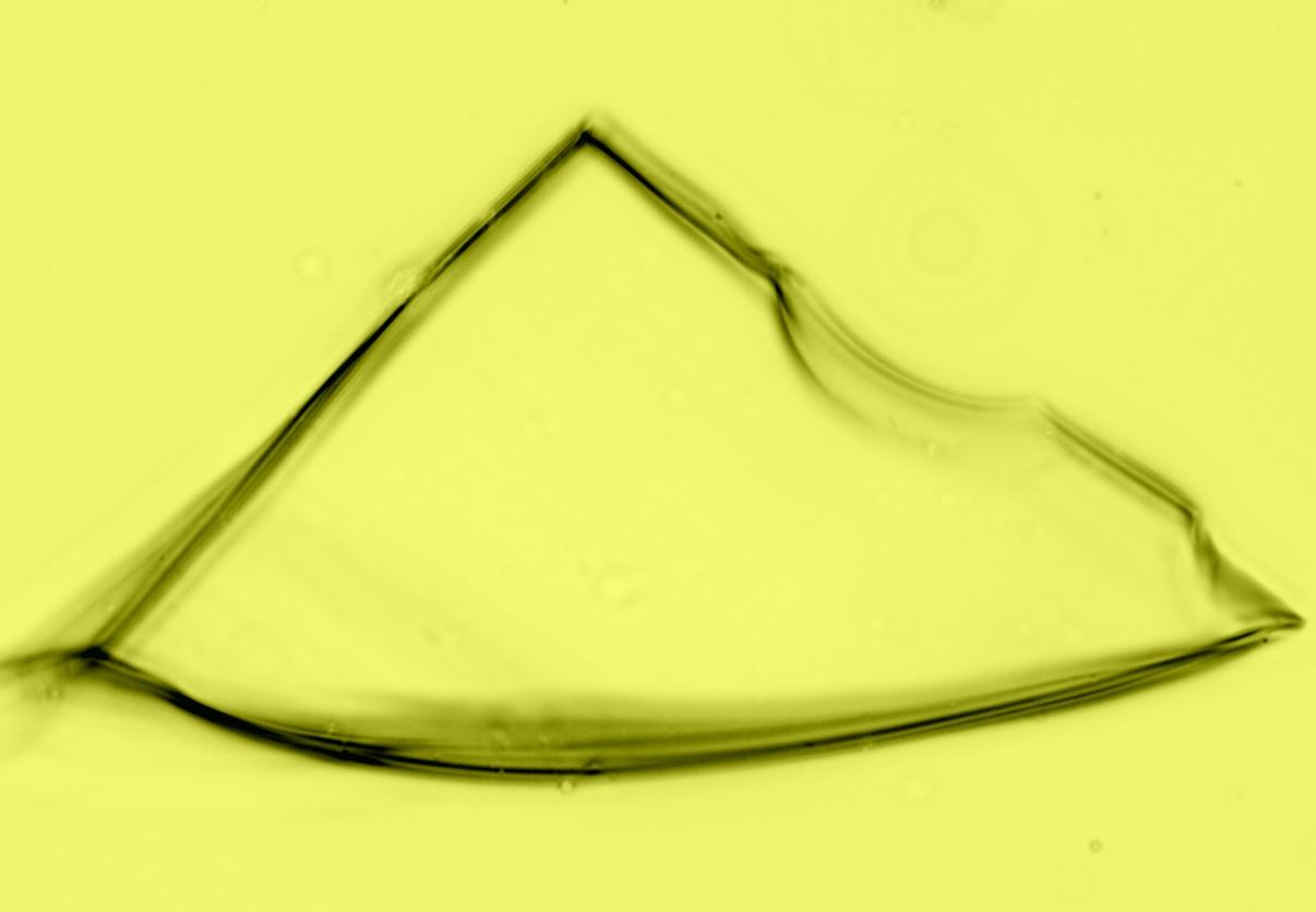 Glass fragment viewed with Micro Refractive Index™ Software